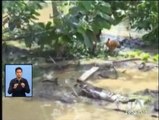 Desborde de tres ríos deja grandes pérdidas económicas en Esmeraldas