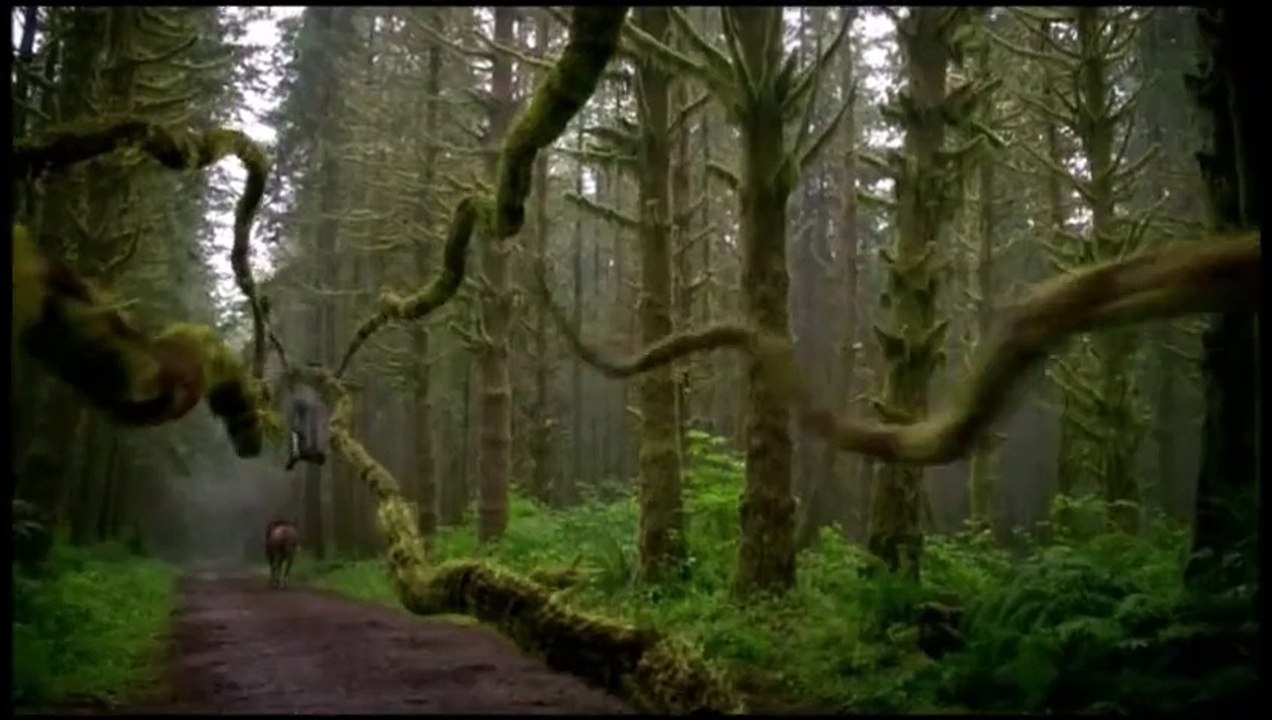 Cora - OUAT