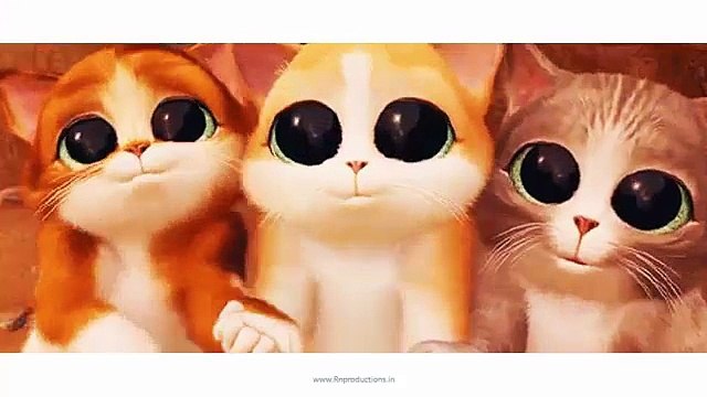 Cat Gangnam Style - funny animal videos - Funny Videos Clips For Animals