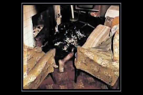 Paranormal: Spontaneous Human Combustion - Do you know what really burns me up?