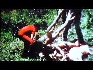 Sandinistas echan al dictador Somoza en Nicaragua y se acercan a URSS (1979)