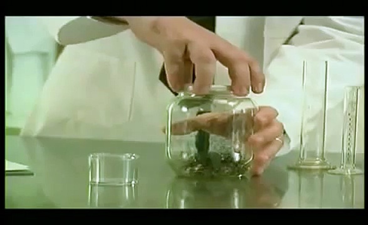 Fleas and Bank