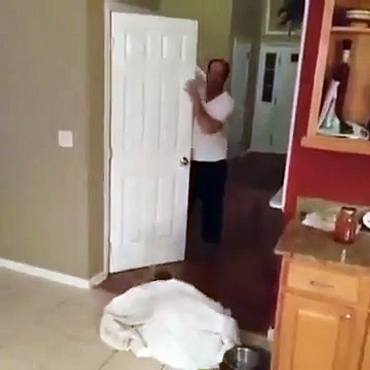 haha kids funny accidents must watch