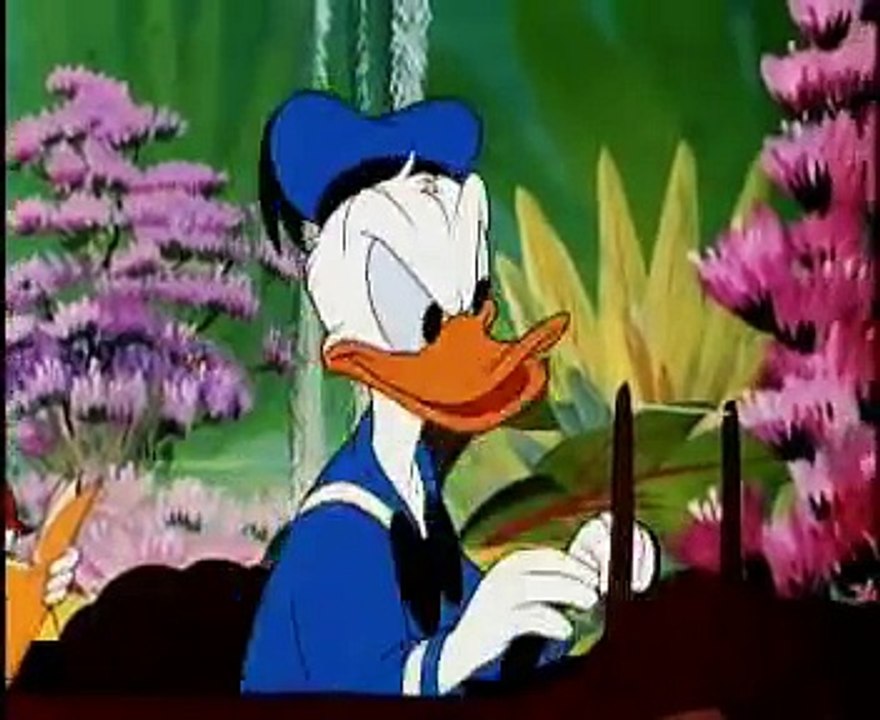 Donald Duck - Don's Fountain of Youth (1953)