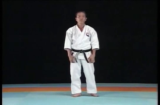 Wado-kai complete karate kata Chinto