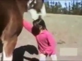 Don't Mess with the Horse - Otherwise Horse will throw you.