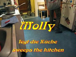 Waschbär / Raccoon Molly fegt die Küche /sweeps the kitchen