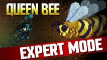 Terraria 1.3 - Queen Bee Expert Mode!