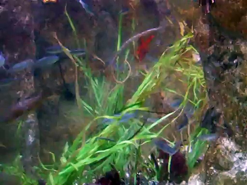 DSCF1660