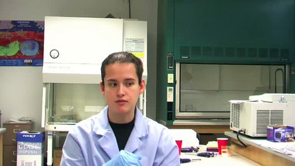 DMC: Biology Interns in Dr. Cammarata's Lab at TAMU-CC