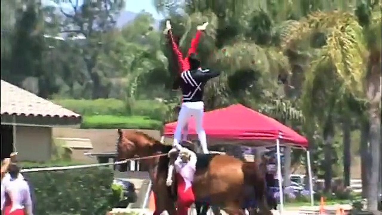 F.A.C.E. A Team Freestyle - Equestrian Vaulting