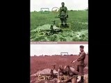 WWII Doctored Photos Demonize German Soldiers
