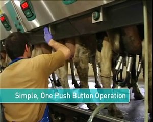 SCR Milking Parlor Management - Kibbutz Yad Mordechai