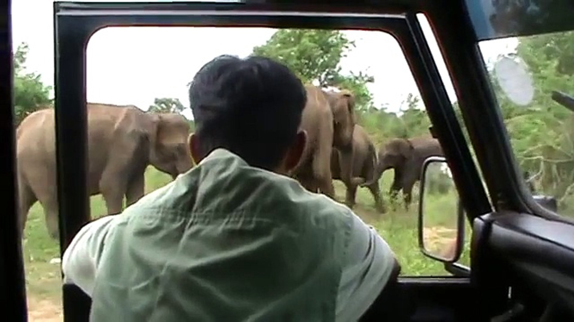 elephant attack in sri lanka