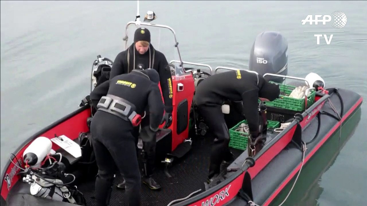 Les plongeurs de l'extrême, indispensables maillons de la science en Arctique