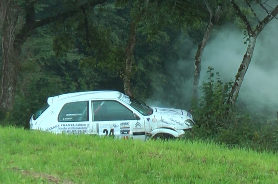 Rallye du Sel 2015 crash