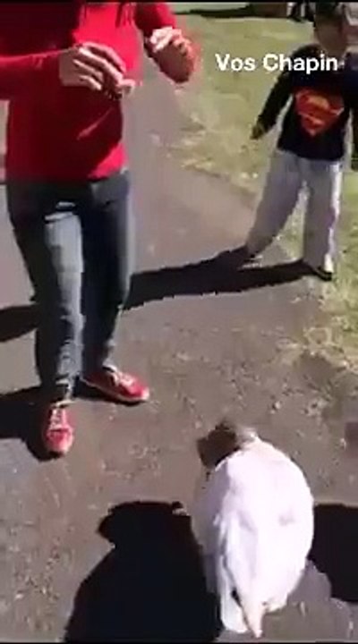 girl fun with duck