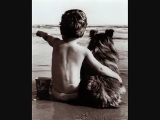 Jorge Bucay - El niño y el perro.