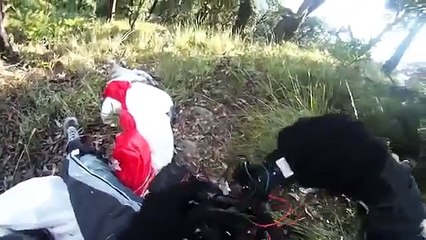 Здоровенный орел, БЛЕАТЬ! Орел, параплан, парашют