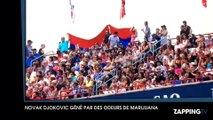 Novak Djokovic troublé par des odeurs de marijuana en plein match