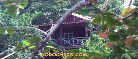 Tesoro Escondido, Bocas del Toro, panama