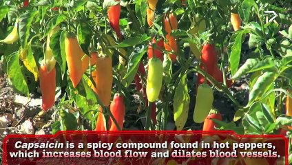 10 Foods That Boost Libido