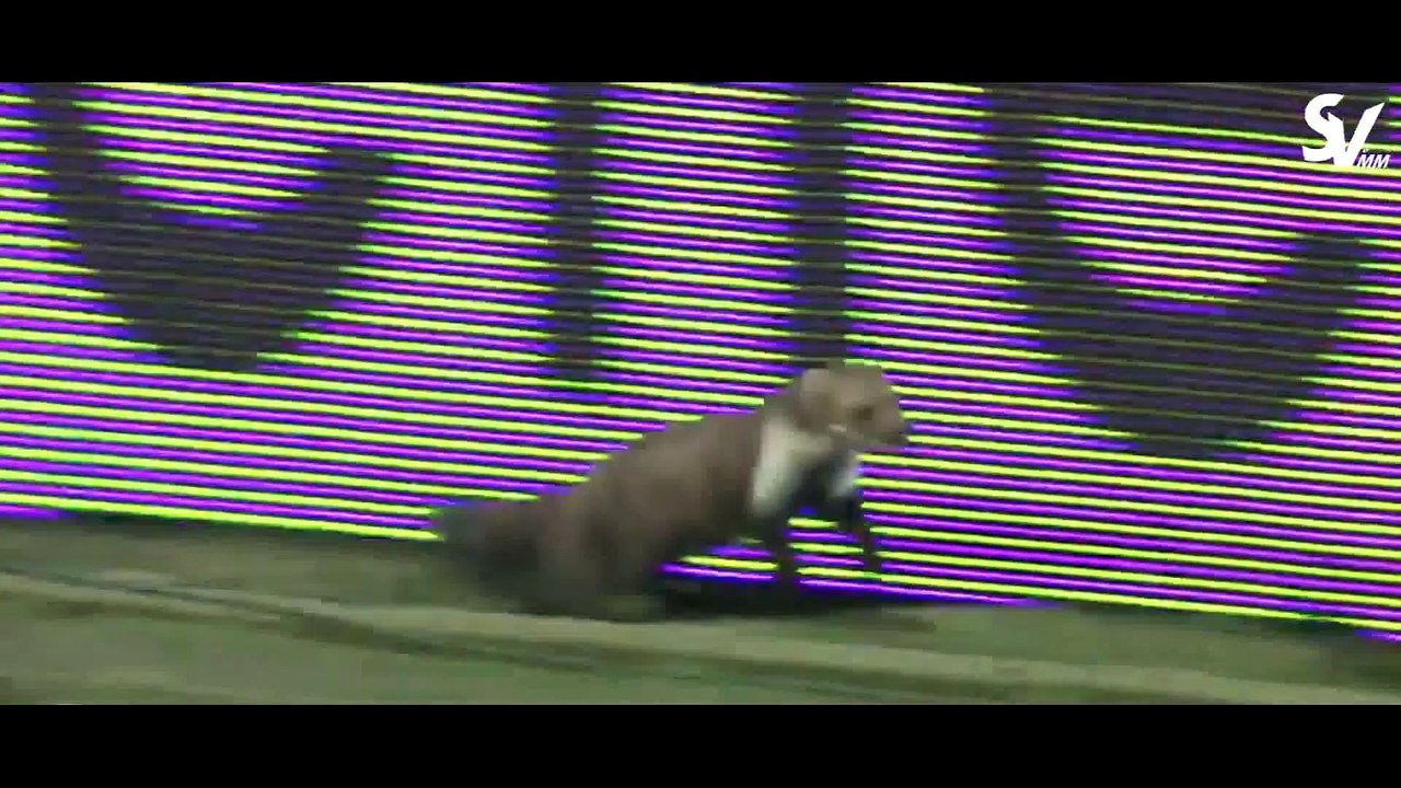 Funny Football Moments 2015 ● Fails, Bloopers, Misses, Shots  HD