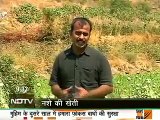 India's biggest illegal opium farming busted : Hindustan main Afghanistan Part 1