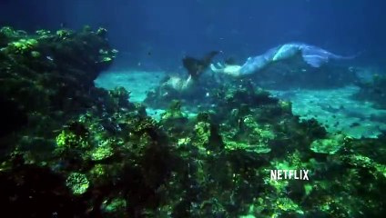 Mako Mermaids - Season 2 - Official Trailer - Netflix [HD]