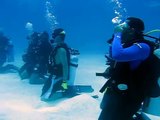 Stella Maris Shark Dive - Group