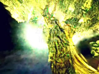 We Are One Family On Our Blue Planet