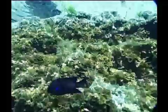 LAS CANTERAS, LAS PALMAS DE GRAN CANARIA