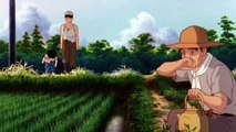Anime Review - Grave of the Fireflies | StormProduction
