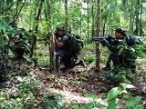 Brigada de Operações Especiais (Brazil Spec Ops)