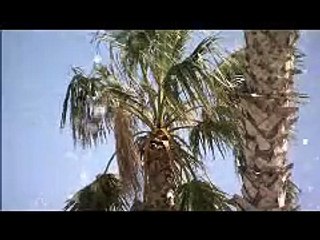 Key Resorts - Mosa Trajectum Golf Resort - Murcia