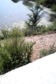 Mangla Dam . upraised @ 1340 ft level to day of August 2015