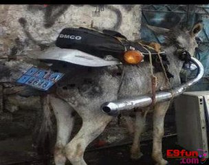 Pakistani Jugaad vehicle free fuel