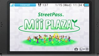 Nintendo 3DS - New Owner's Guide StreetPass Mii Plaza