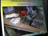 OPERAZIONE ANTIDROGA ENNA, 40 ARRESTI EDT3