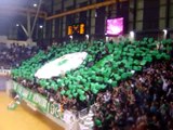 panathinaikos gate 13