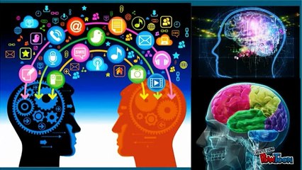 The Road to Antinatalism: The Materialistic Universe