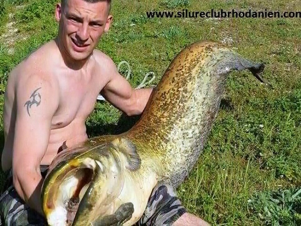 Silure Club Rhodanien : Photos des poissons du forum du Silure Club Rhodanien