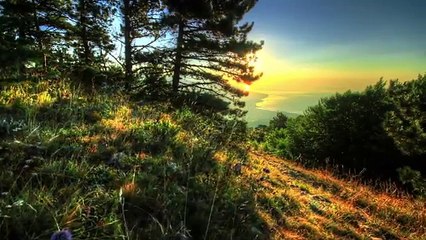 What would you  do if money weren't an object?