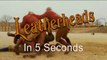 5 Second Movies: Leatherheads