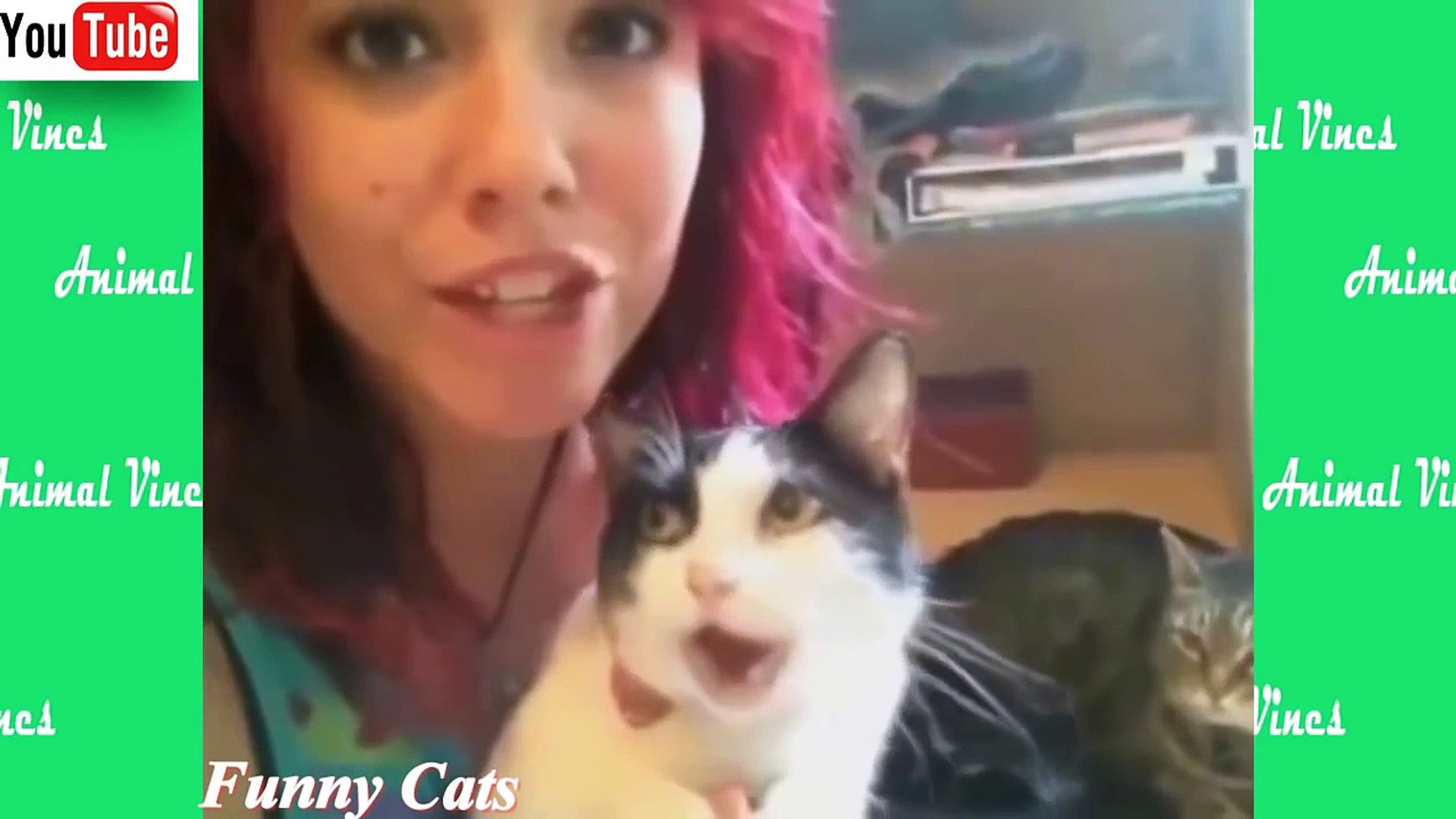 Funny Cats - Funny Cat Videos - Funny Cat Sleep - Funny Animals 2015-part  40