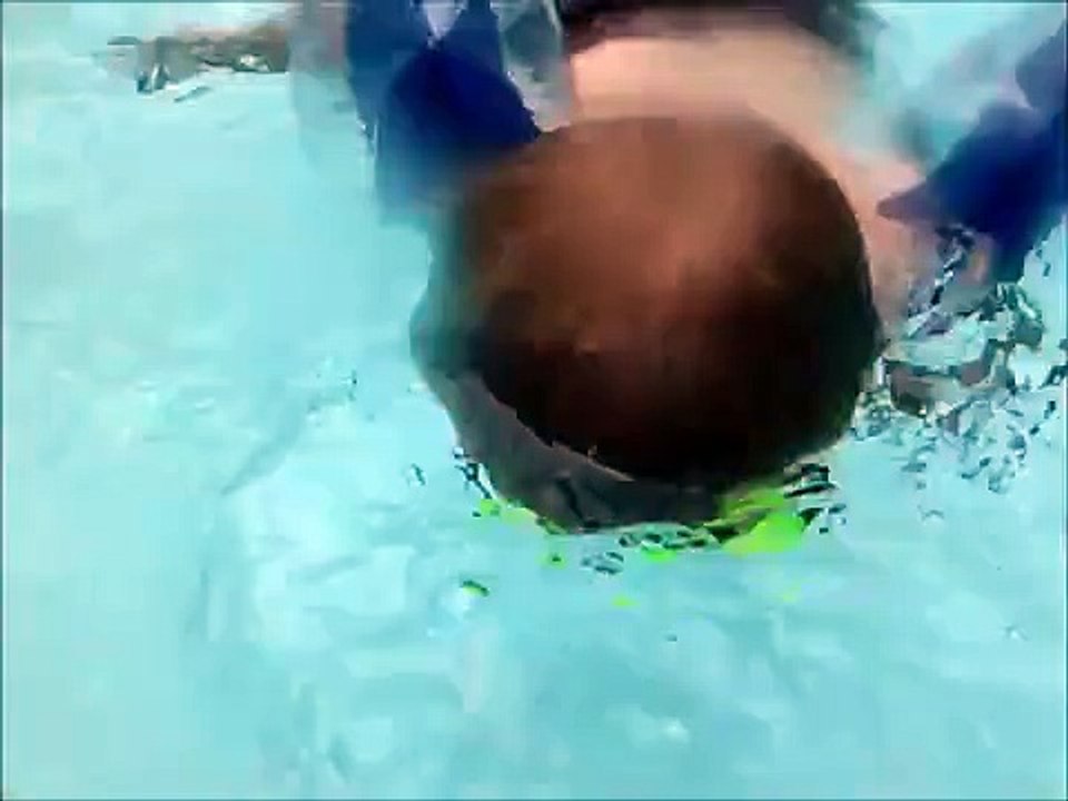Jaws: Pool Terror