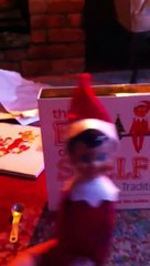 The elf on the shelf tradition begins!