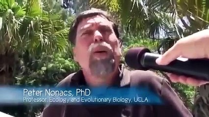 Blind Faith: Darwinism and the Theory of Human Evolution