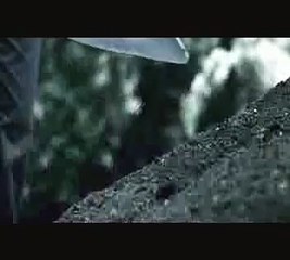 Animais de estimação