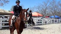 Walk/Trot Equitation Horse Show